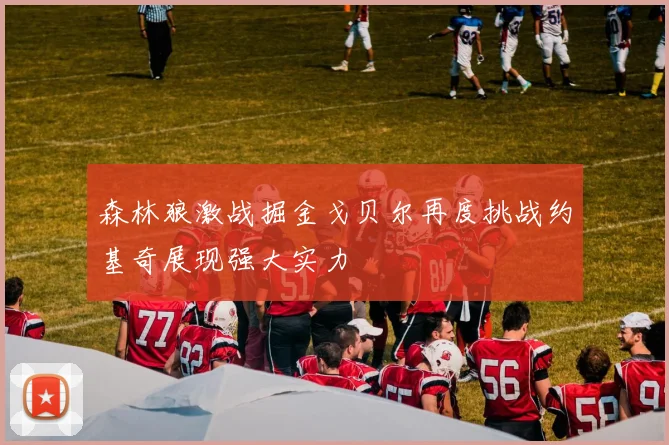 森林狼激战掘金戈贝尔再度挑战约基奇展现强大实力